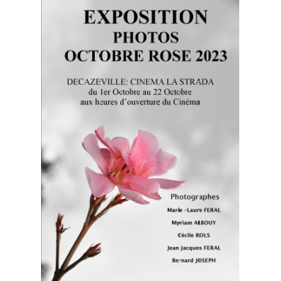 Expo Photos Octobre Rose a La Strada