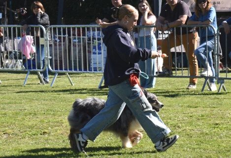 Sport canin à Decazeville